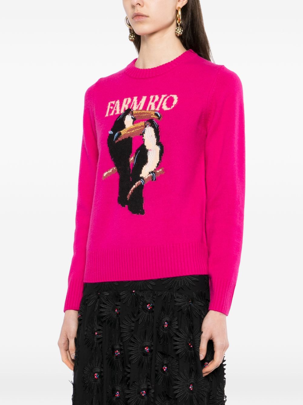 Maglione Con Ricamo 352085 L0027 PINK FARM RIO