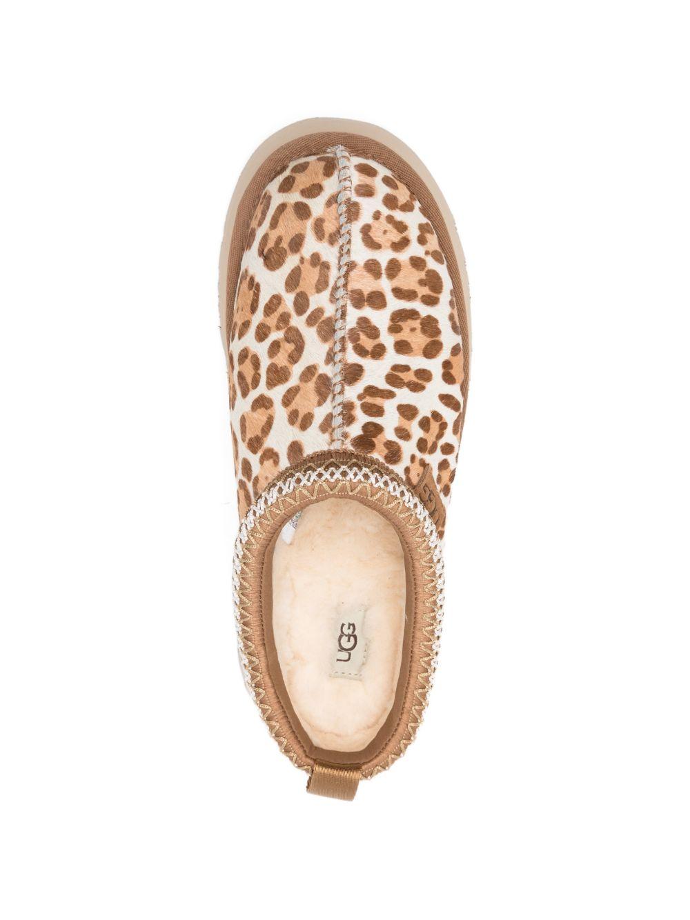 Tazz Plains 1177890 FDJ UGG