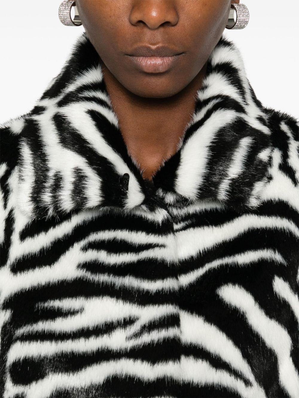 1140232729 2729 ZEBRA ROTATE