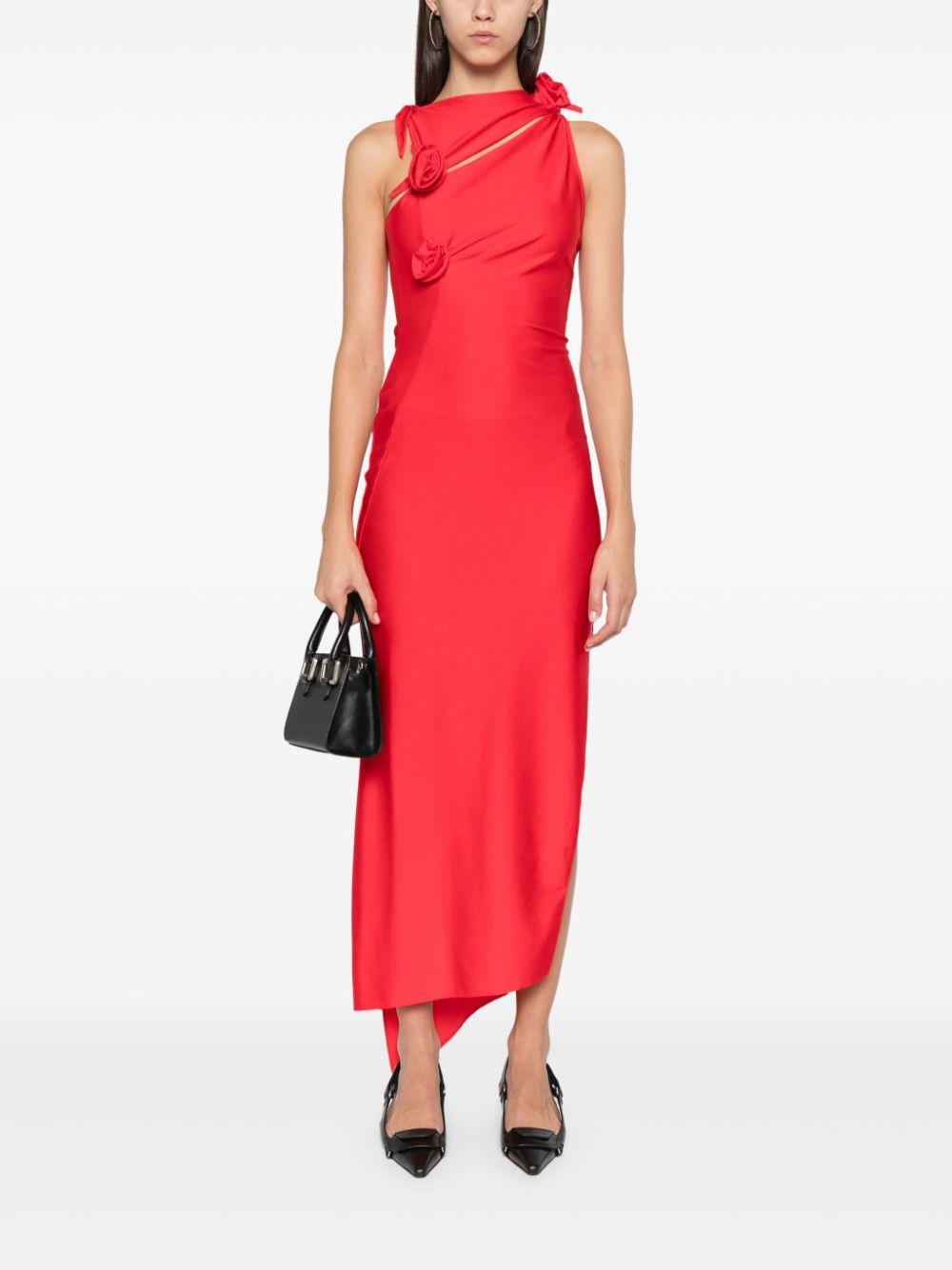 COPR44545 RED RHUBARB COPERNI