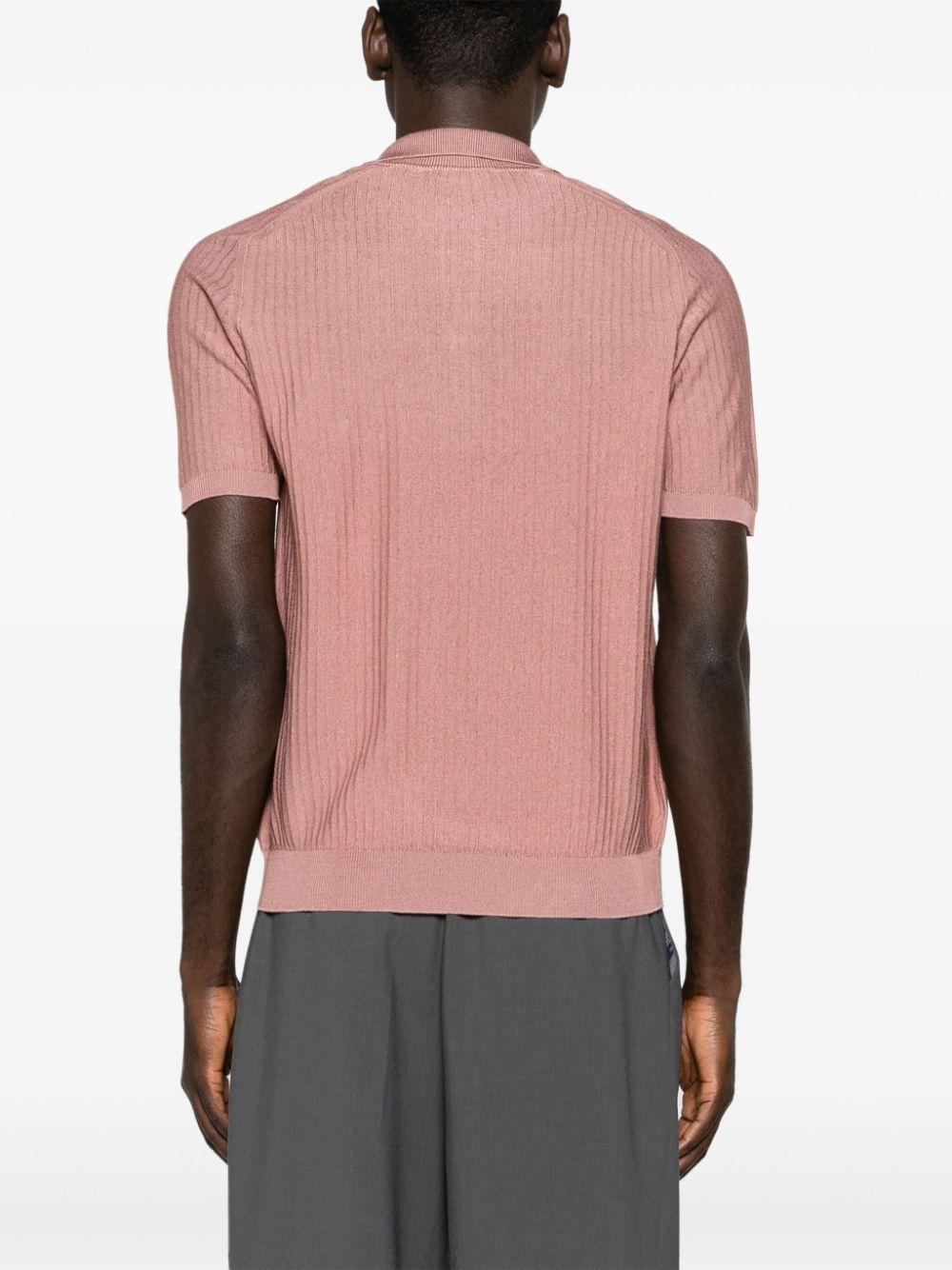 RT15024 31 ROSA ROBERTO COLLINA