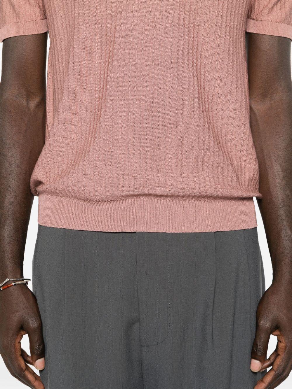 RT15024 31 ROSA ROBERTO COLLINA