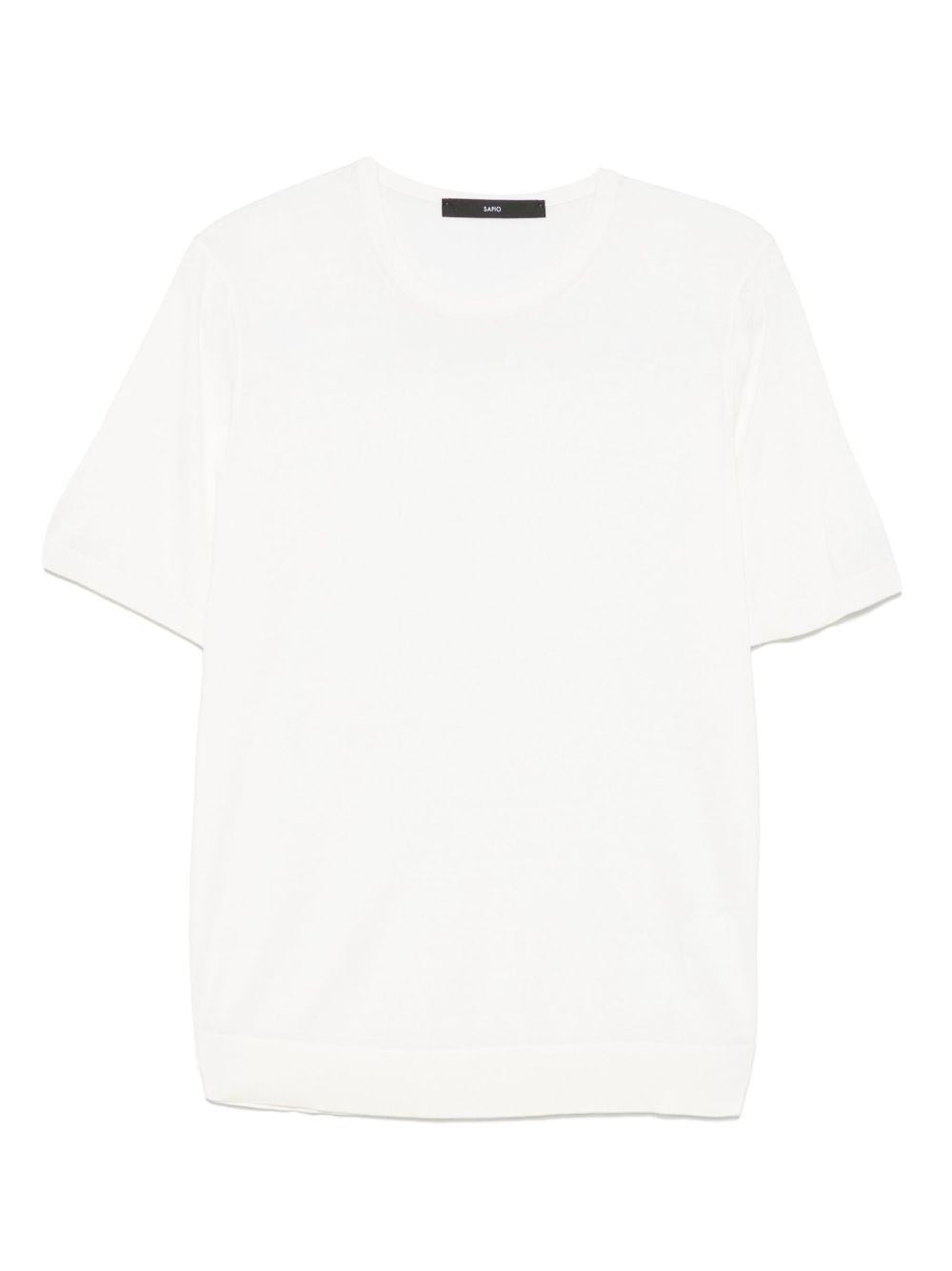 4311223503 005 SAPIO