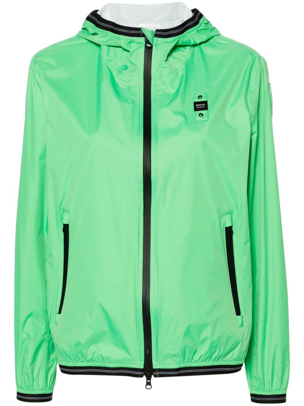 24SBLDC11048006007 733 BLAUER