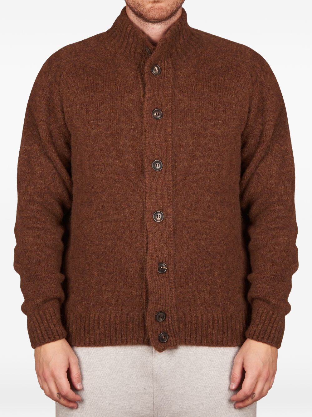 Cardigan Blouson in Alpaca e Lana BB3MLMWA5R 180 FILIPPO DE LAURENTIS 