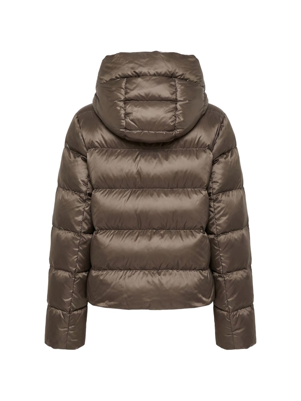 Piumino In Tela Antigoccia 2629486025600 062 WINTER GREEN MAX MARA STUDIO 