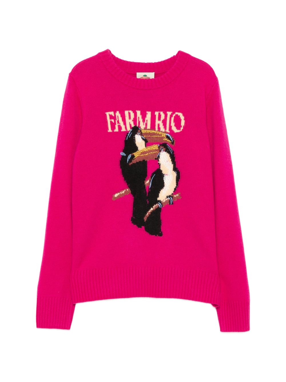 Maglione Con Ricamo 352085 L0027 PINK FARM RIO 