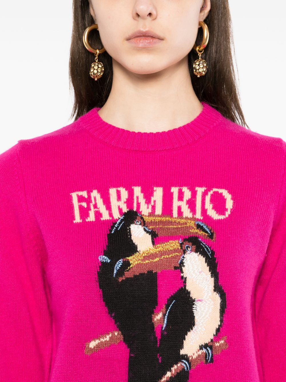 Maglione Con Ricamo 352085 L0027 PINK FARM RIO 