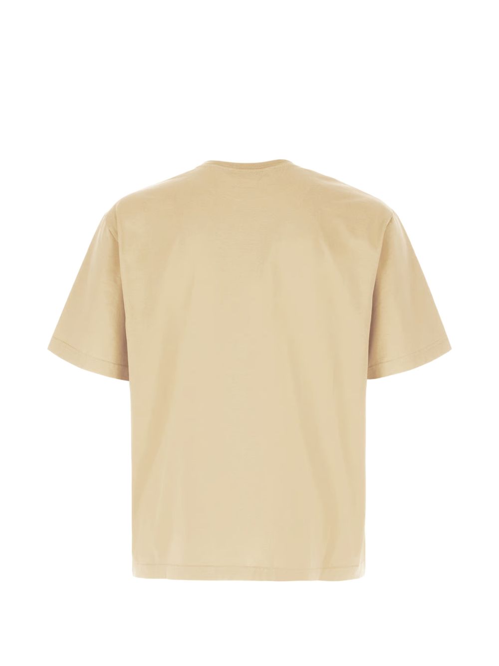 Spray Bear T-Shirt PMAA109S26JER001 6160 BEIGE BROWN PALM ANGELS 