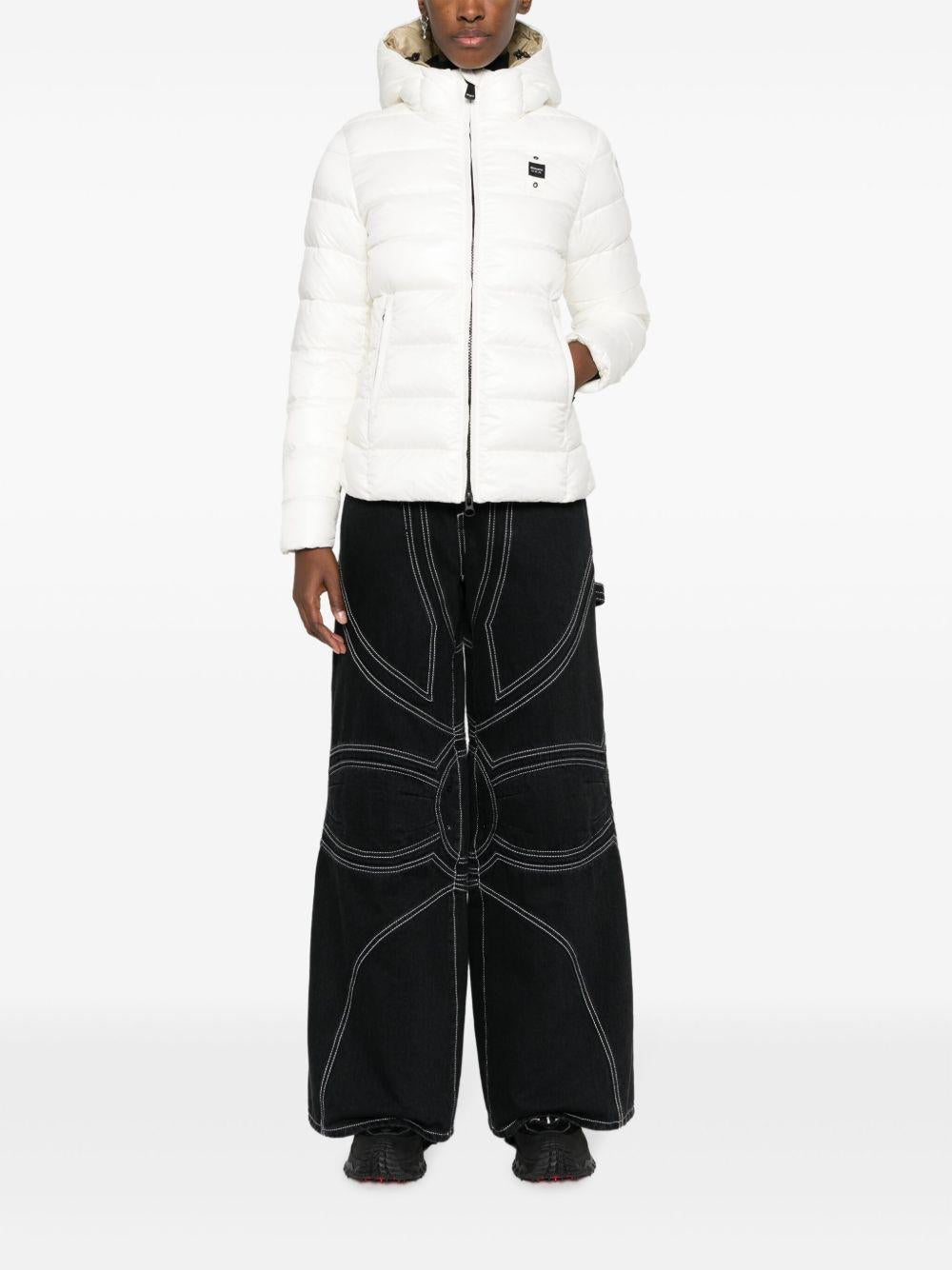  23WBLDC02114006648 102TT BLAUER 