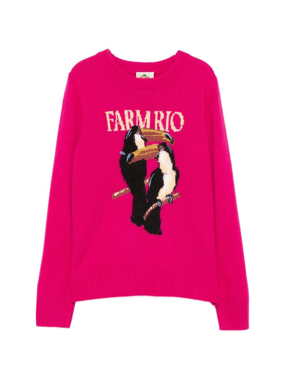 Maglione Con Ricamo 352085 L0027 PINK FARM RIO 