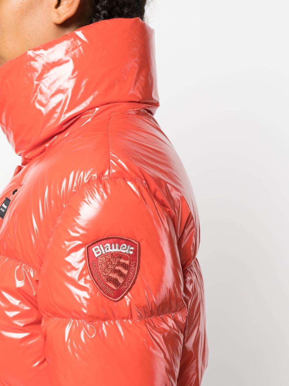  23WBLDC03022006631 462 BLAUER 