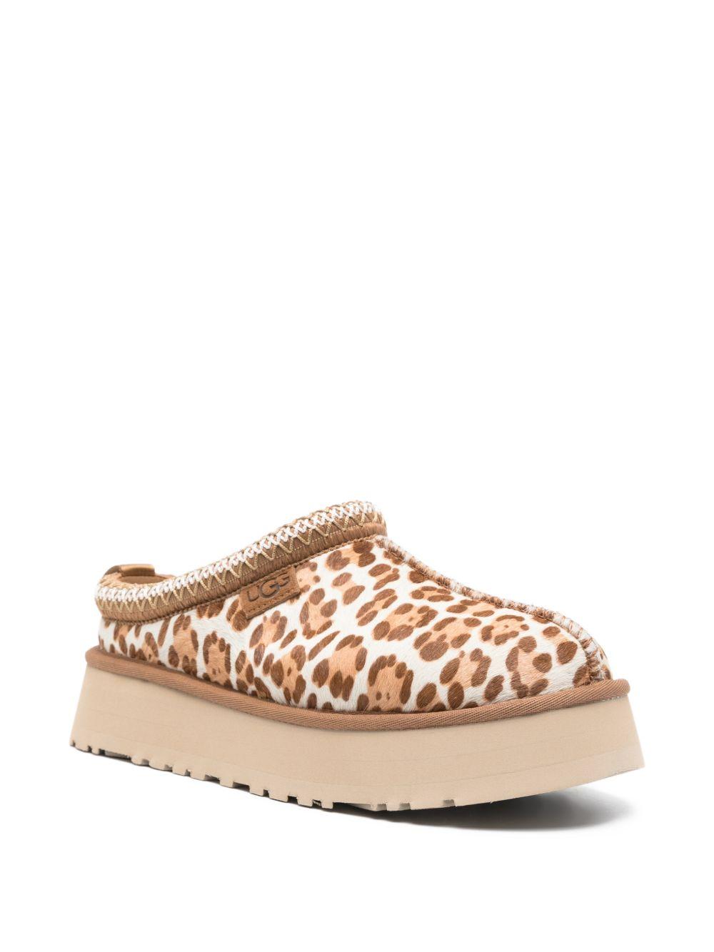 Tazz Plains 1177890 FDJ UGG 